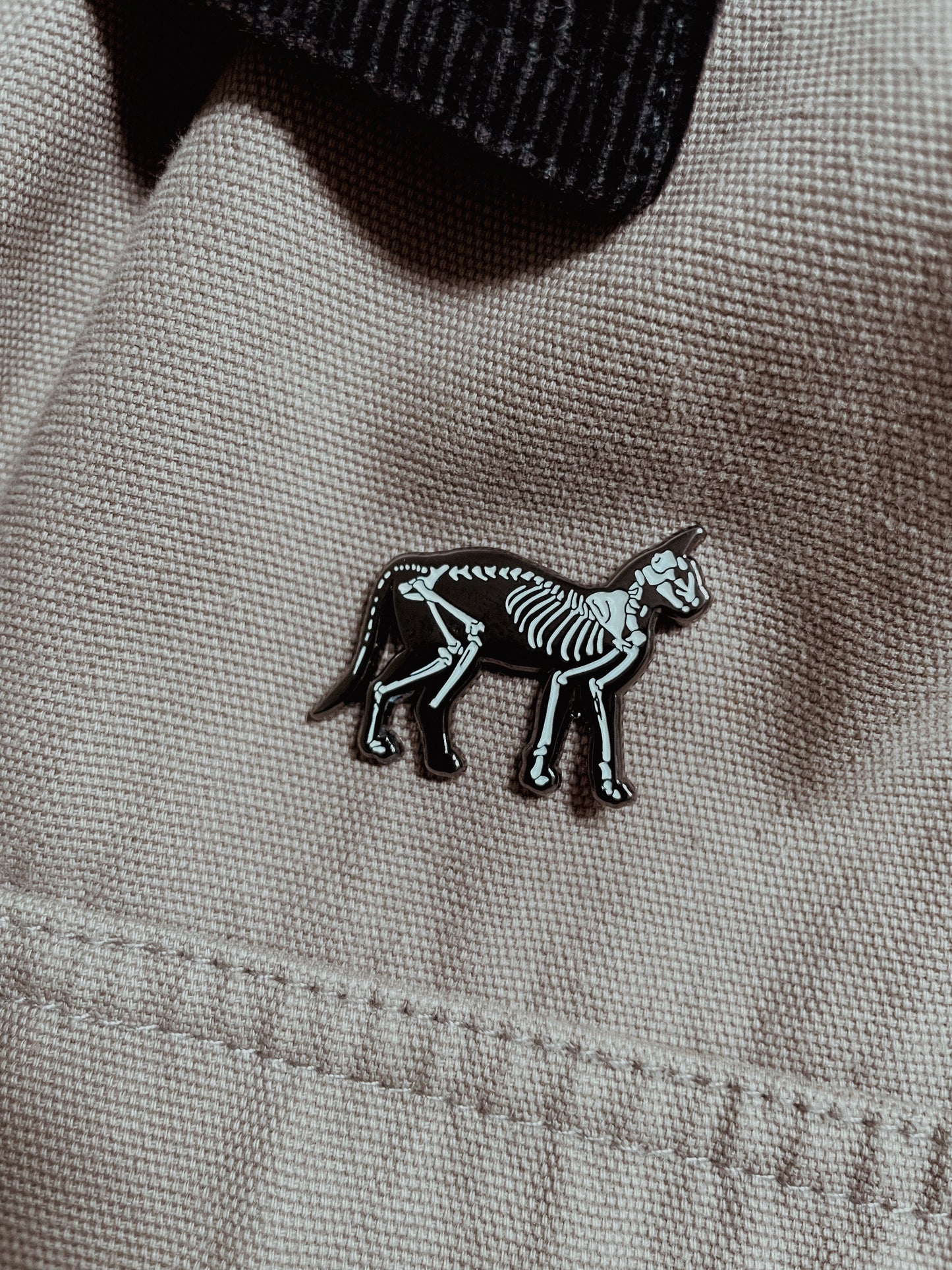 Pin - Cat Skeleton
